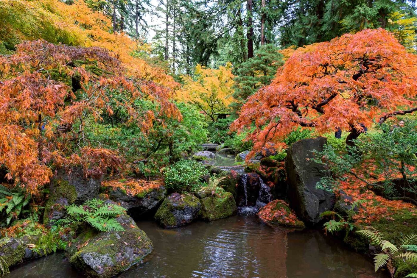japanese-garden-portland-autum-waterfall
