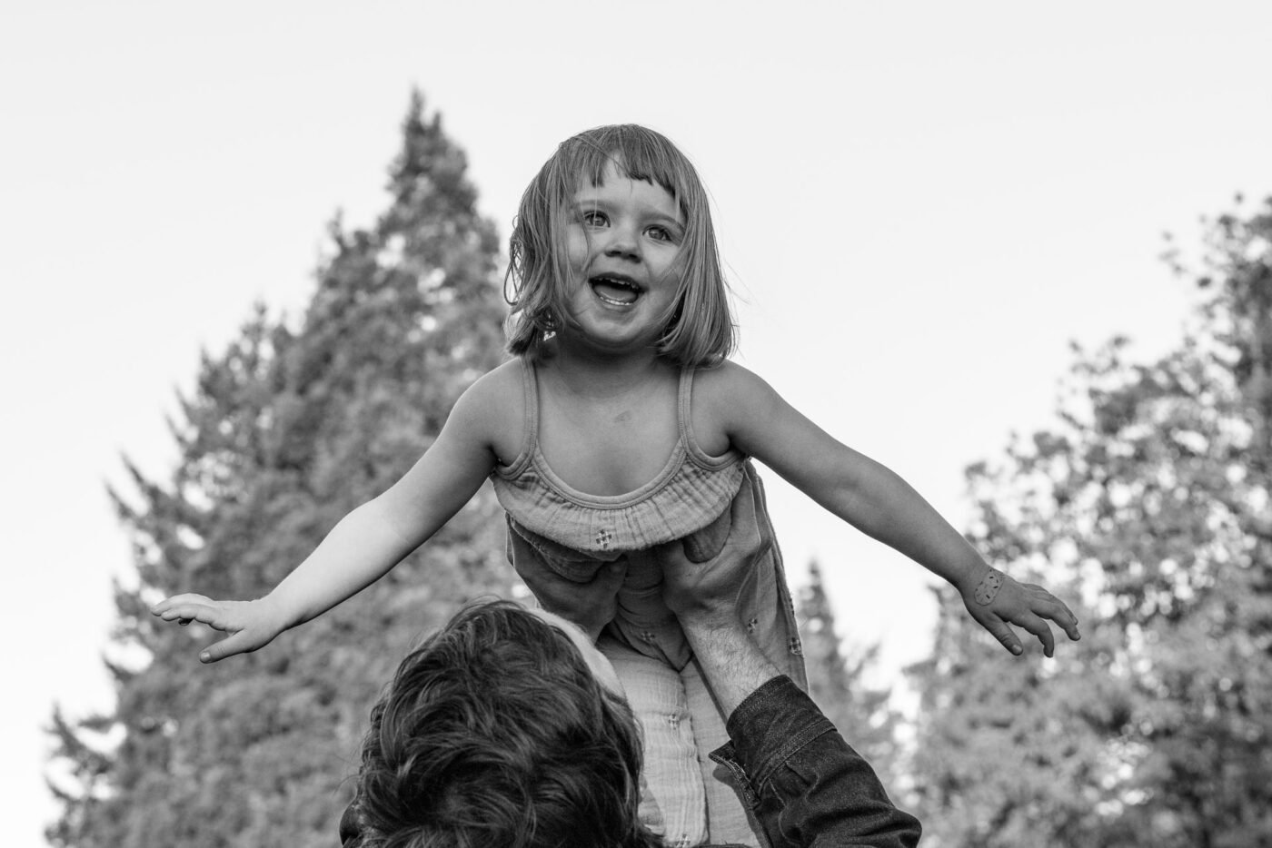 koa-up-in-the-air-flying