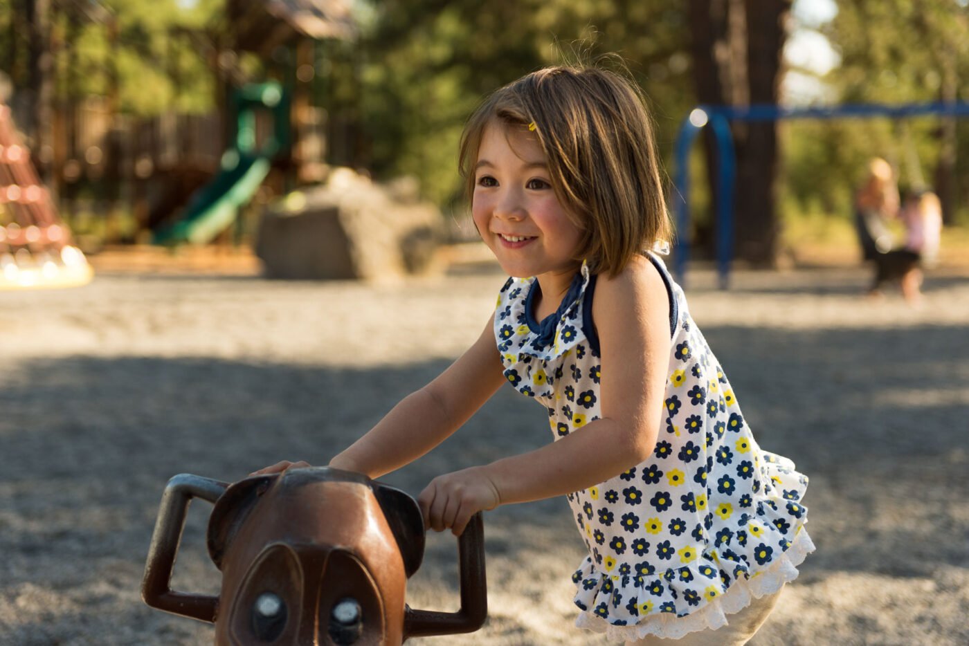 nina-monkey-playground