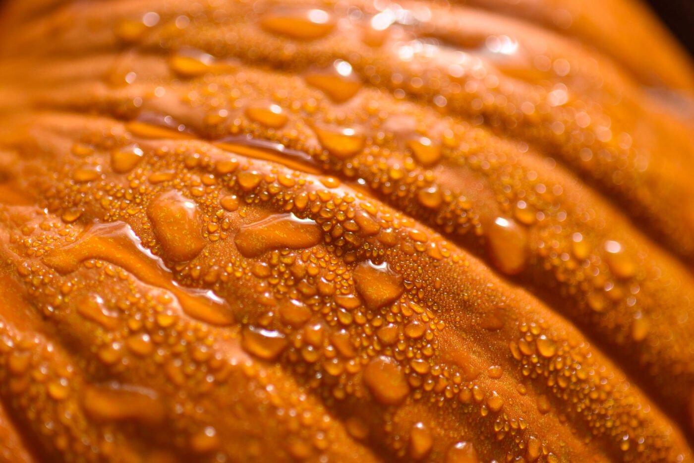 pumpkin-water-drops-close-up